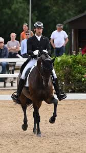 Image result for Jp-Sheffield Eventing