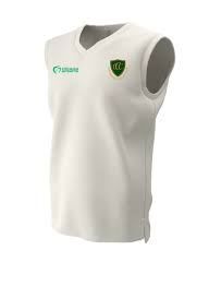 Image result for Chelmarsh Cricket Club