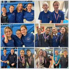 Image result for Haslemere Swimming Club