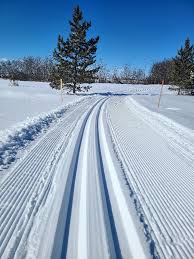 Image result for Lakeland Cross Country Ski Club