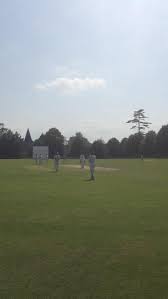 Image result for Buxted Park Cricket Club