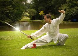 Image result for Dragon Martial Arts Association