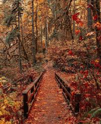 Image result for $$fall_akte__ort$$
