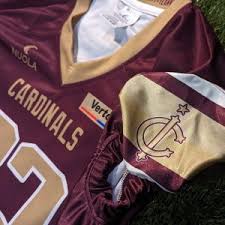 Image result for Ipswich Cardinals American Football Club