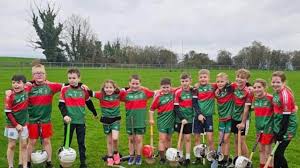 Image result for Lisnaskea Emmetts Gfc