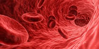 Image result for blood