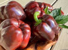 Afbeeldingsresultaat voor chocolate beauty sweet pepper