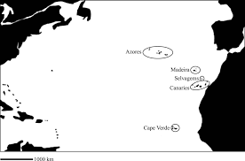 Attēlu rezultāti vaicājumam “Cladopodiella francisci”
