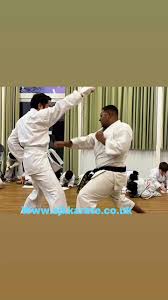 Image result for Alleyn School Of Japanese Karate