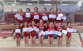 Image result for Fromeside Gymnastics Club (1987) Limited