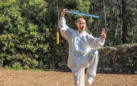Image result for Wushu Tai Chi Club