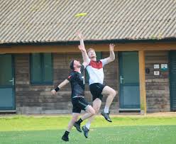 Image result for Braishfield Ultimate