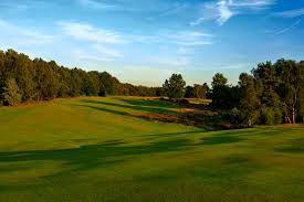 Image result for Walton Heath Golf Club