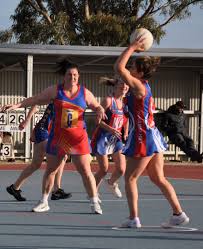 Image result for Bridgewater Netball Club