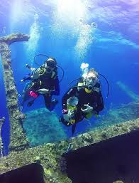 Image result for Uwe Sub Aqua Club