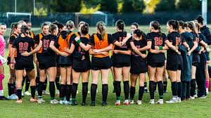 Image result for Lumley Ladies Football Club