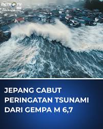 Hasil gambar untuk tsunami jepang