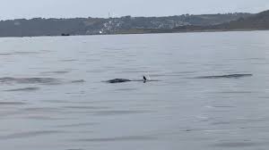 Image result for Reading Bsac