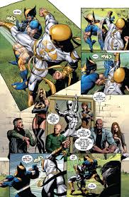 Image result for Wolverine MMA