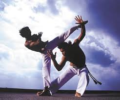 Image result for Brazilian-martial arts