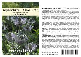 Image result for Alpendistel