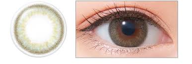 「ネオサイトワンデーシエル」の画像検索結果