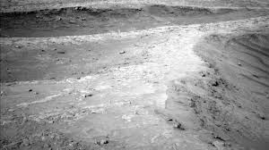 Image result for mars trees