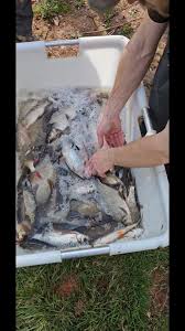 Image result for Bathampton Angling Association