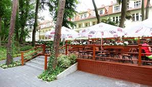 Image result for cesarskie