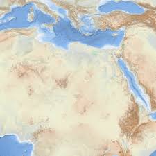 Attēlu rezultāti vaicājumam “Vouauxiomyces santessonii”