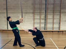 Image result for Bujinkan Dojo Seijitsu