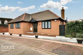 Image result for Rayleigh Sac