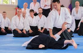 Image result for Aikido - Shobu UK (Newton in furness)