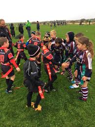 Image result for Hessle rufc