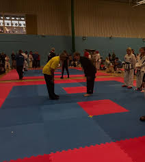 Image result for Bytomic Tae Kwon Do Beaconsfield