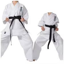 Image result for Kyoku Kenjutsu Kai
