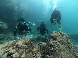 Image result for TAL Divers