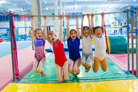 Image result for Tessaro Gymnastics Club