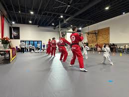 Image result for Ashford School Of Taekwondo