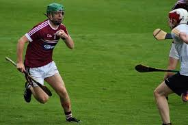 Image result for Sean Treacy`s Hurling Club