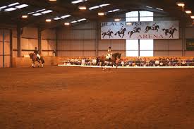 Image result for Blackpool & Fylde Horse Club