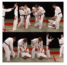 Image result for Goshin Ryu Atemi JuJitsu