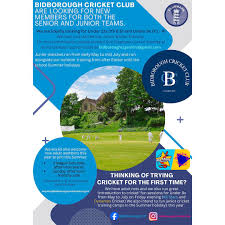 Image result for Bidborough Cc