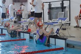 Image result for Calne Alpha 4