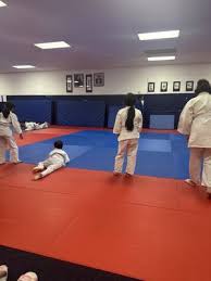 Image result for Riverside Judo Club