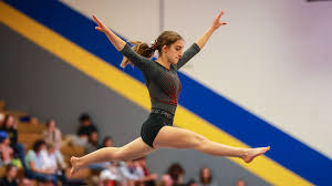 Image result for Angmering Gymnastics