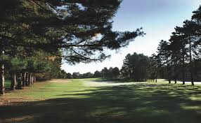 Image result for Windermere Rugby Club