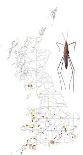 Attēlu rezultāti vaicājumam “Aquarius najas”