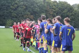 Image result for Harbertonford A F C