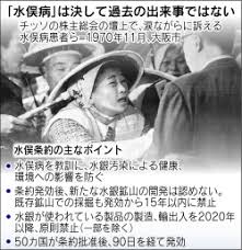 「日本語圏内検索公害」的圖片搜尋結果